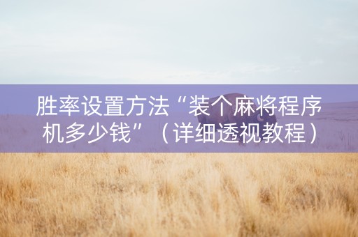 胜率设置方法“装个麻将程序机多少钱”（详细透视教程）-哔哩哔哩
