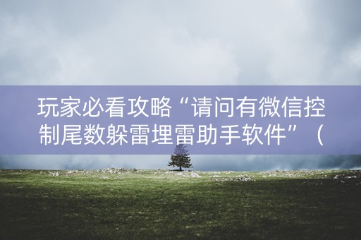 玩家必看攻略“请问有微信控制尾数躲雷埋雷助手软件”（详细透视教程）-哔哩哔哩