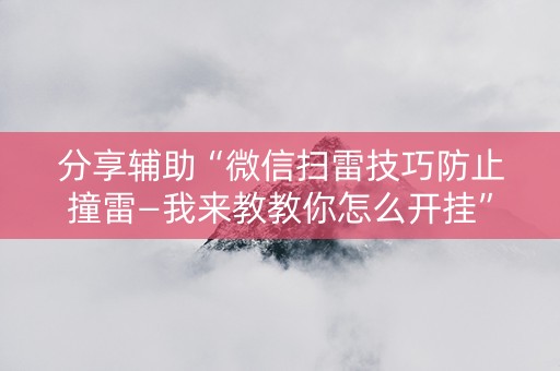 分享辅助“微信扫雷技巧防止撞雷—我来教教你怎么开挂”（详细透视教程）-哔哩哔哩
