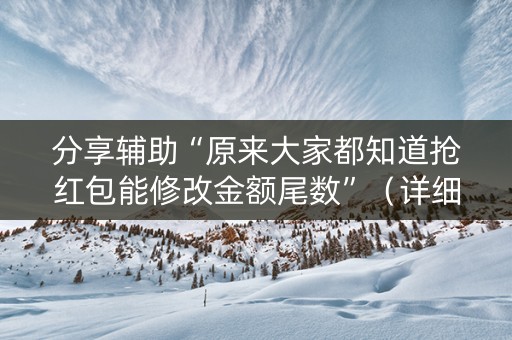 分享辅助“原来大家都知道抢红包能修改金额尾数”（详细透视教程）-哔哩哔哩