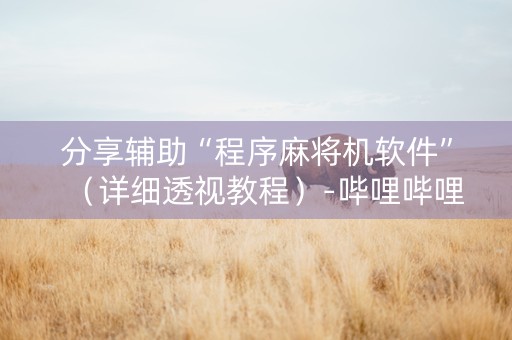 分享辅助“程序麻将机软件”（详细透视教程）-哔哩哔哩