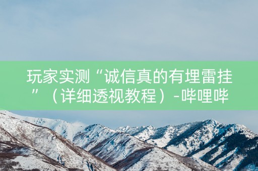 玩家实测“诚信真的有埋雷挂”（详细透视教程）-哔哩哔哩