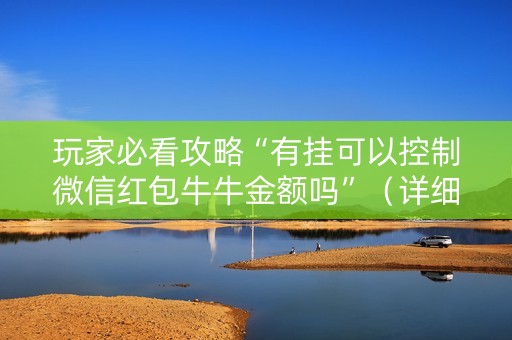 玩家必看攻略“有挂可以控制微信红包牛牛金额吗”（详细透视教程）-哔哩哔哩