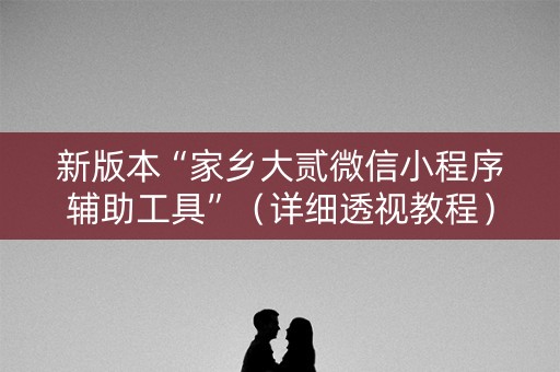 新版本“家乡大贰微信小程序辅助工具”（详细透视教程）-哔哩哔哩