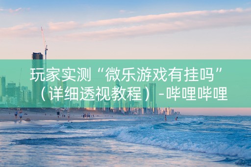 玩家实测“微乐游戏有挂吗”（详细透视教程）-哔哩哔哩