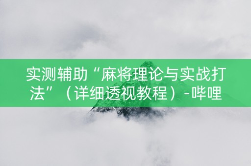 实测辅助“麻将理论与实战打法”（详细透视教程）-哔哩哔哩