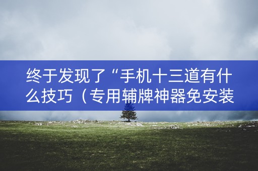 终于发现了“手机十三道有什么技巧（专用辅牌神器免安装）