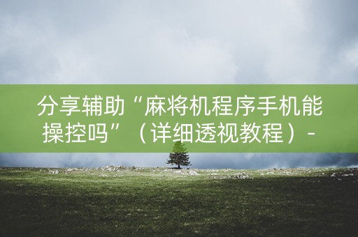 分享辅助“麻将机程序手机能操控吗”（详细透视教程）-哔哩哔哩
