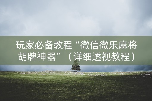 玩家必备教程“微信微乐麻将胡牌神器”（详细透视教程）-哔哩哔哩