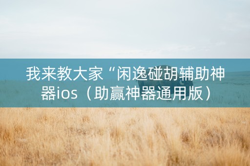 我来教大家“闲逸碰胡辅助神器ios（助赢神器通用版）