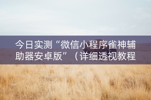 今日实测“微信小程序雀神辅助器安卓版”（详细透视教程）-哔哩哔哩