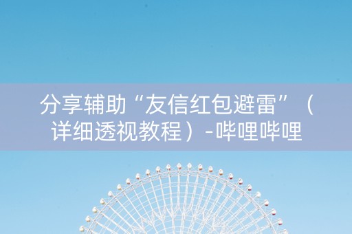 分享辅助“友信红包避雷”（详细透视教程）-哔哩哔哩