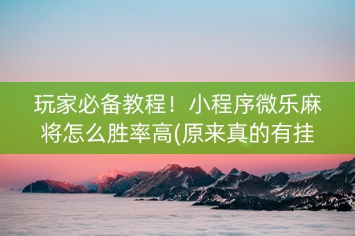 玩家必备教程！小程序微乐麻将怎么胜率高(原来真的有挂)