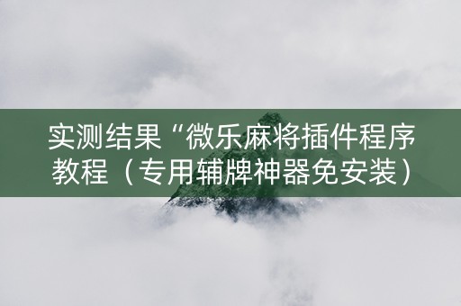实测结果“微乐麻将插件程序教程（专用辅牌神器免安装）