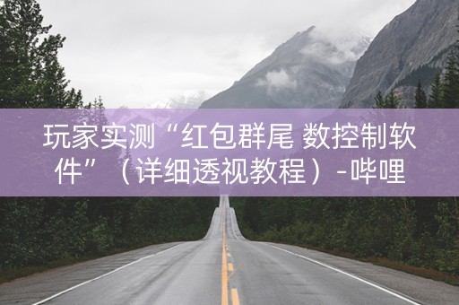 玩家实测“红包群尾 数控制软件”（详细透视教程）-哔哩哔哩