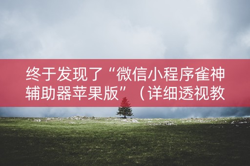 终于发现了“微信小程序雀神辅助器苹果版”（详细透视教程）-哔哩哔哩