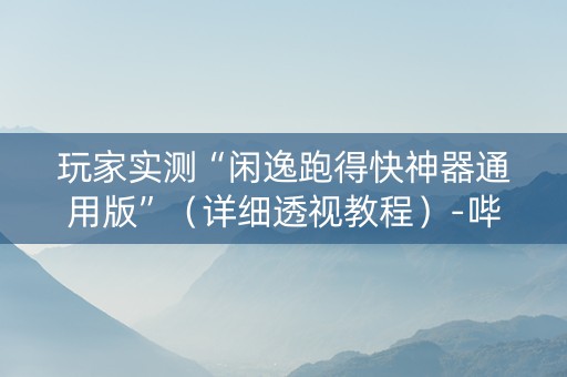 玩家实测“闲逸跑得快神器通用版”（详细透视教程）-哔哩哔哩