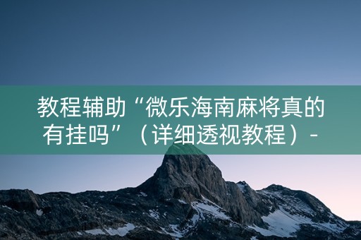 教程辅助“微乐海南麻将真的有挂吗”（详细透视教程）-哔哩哔哩