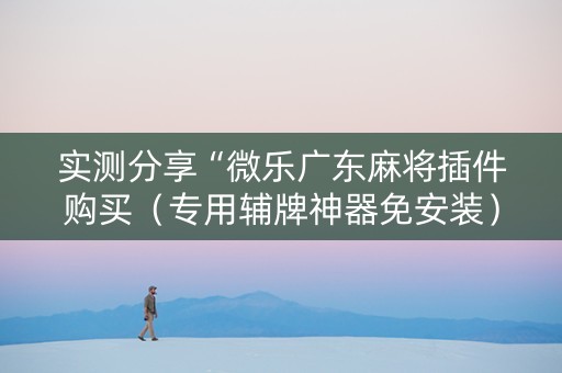 实测分享“微乐广东麻将插件购买（专用辅牌神器免安装）