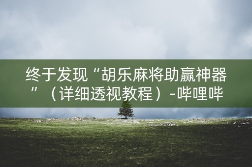 终于发现“胡乐麻将助赢神器”（详细透视教程）-哔哩哔哩