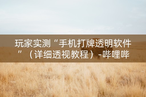 玩家实测“手机打牌透明软件”（详细透视教程）-哔哩哔哩