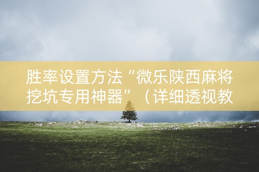 胜率设置方法“微乐陕西麻将挖坑专用神器”（详细透视教程）-哔哩哔哩