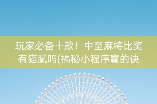 玩家必备十款！中至麻将比奖有猫腻吗(揭秘小程序赢的诀窍)