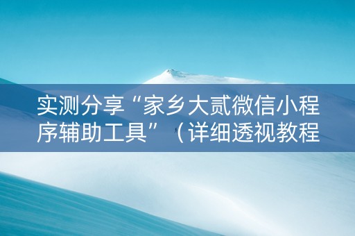 实测分享“家乡大贰微信小程序辅助工具”（详细透视教程）-哔哩哔哩