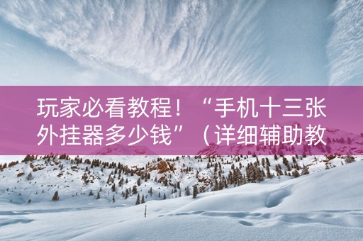 玩家必看教程！“手机十三张外挂器多少钱”（详细辅助教程）-哔哩哔哩