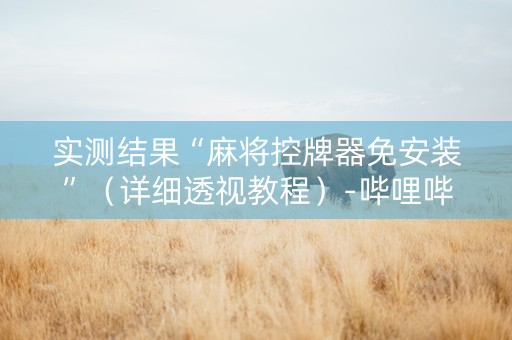 实测结果“麻将控牌器免安装”（详细透视教程）-哔哩哔哩