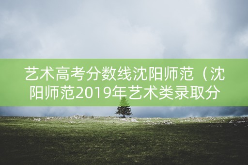 艺术高考分数线沈阳师范（沈阳师范2019年艺术类录取分数线）