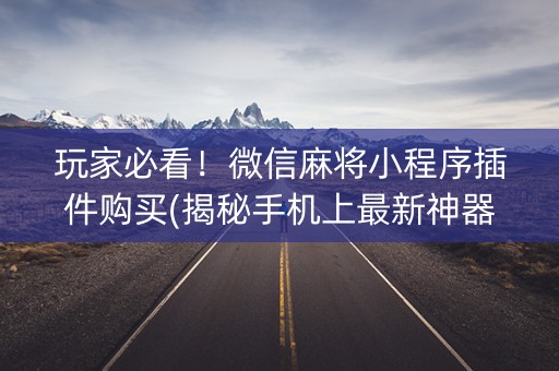 玩家必看！微信麻将小程序插件购买(揭秘手机上最新神器下载)