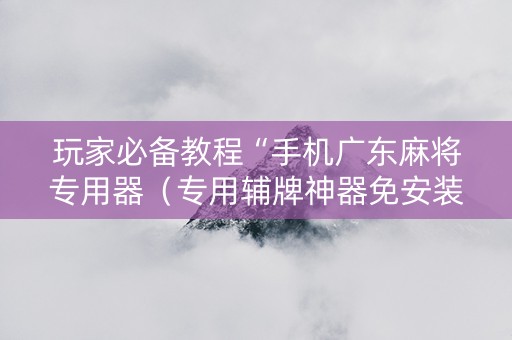 玩家必备教程“手机广东麻将专用器（专用辅牌神器免安装）