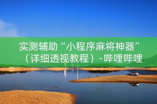 实测辅助“小程序麻将神器”（详细透视教程）-哔哩哔哩