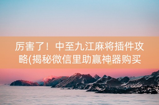 厉害了！中至九江麻将插件攻略(揭秘微信里助赢神器购买)