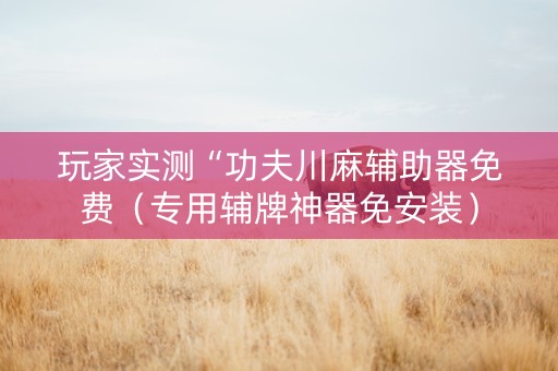 玩家实测“功夫川麻辅助器免费（专用辅牌神器免安装）