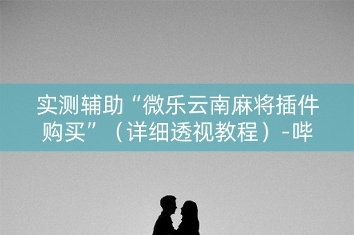 实测辅助“微乐云南麻将插件购买”（详细透视教程）-哔哩哔哩