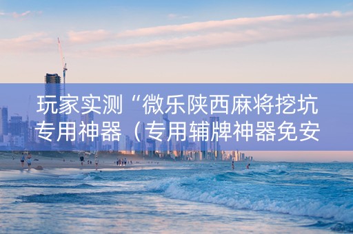 玩家实测“微乐陕西麻将挖坑专用神器（专用辅牌神器免安装）