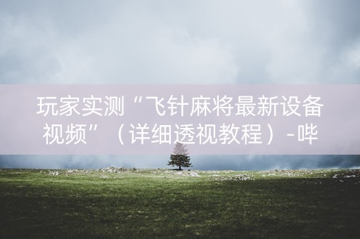 玩家实测“飞针麻将最新设备视频”（详细透视教程）-哔哩哔哩