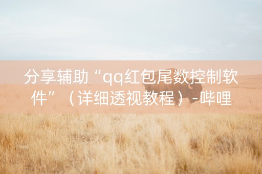 分享辅助“qq红包尾数控制软件”（详细透视教程）-哔哩哔哩