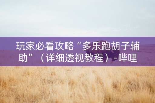 玩家必看攻略“多乐跑胡子辅助”（详细透视教程）-哔哩哔哩