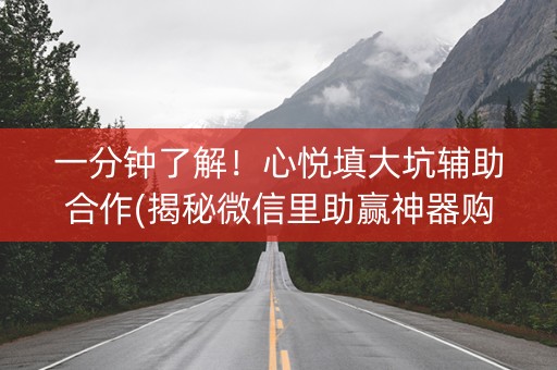 一分钟了解！心悦填大坑辅助合作(揭秘微信里助赢神器购买)
