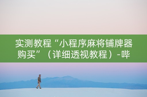 实测教程“小程序麻将铺牌器购买”（详细透视教程）-哔哩哔哩