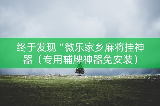 终于发现“微乐家乡麻将挂神器（专用辅牌神器免安装）