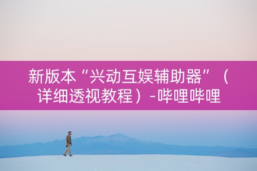 新版本“兴动互娱辅助器”（详细透视教程）-哔哩哔哩