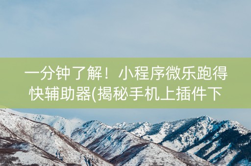 一分钟了解！小程序微乐跑得快辅助器(揭秘手机上插件下载)