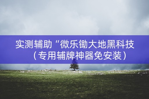 实测辅助“微乐锄大地黑科技（专用辅牌神器免安装）