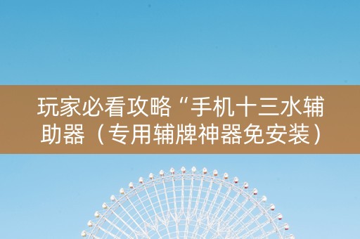 玩家必看攻略“手机十三水辅助器（专用辅牌神器免安装）