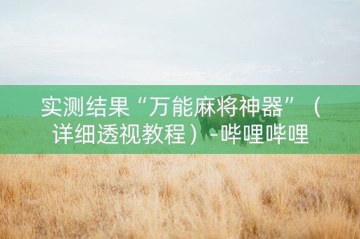实测结果“万能麻将神器”（详细透视教程）-哔哩哔哩