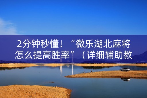 2分钟秒懂！“微乐湖北麻将怎么提高胜率”（详细辅助教程）-哔哩哔哩